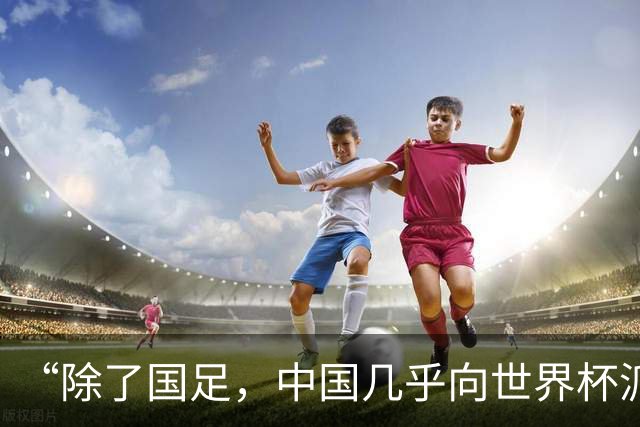 “除了国足，中国几乎向世界杯派去了一切”
