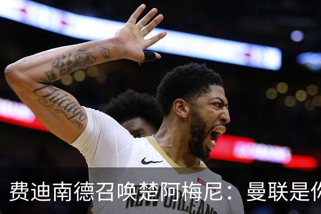 费迪南德召唤楚阿梅尼：曼联是你的唯一归宿，想成事的话就来吧！