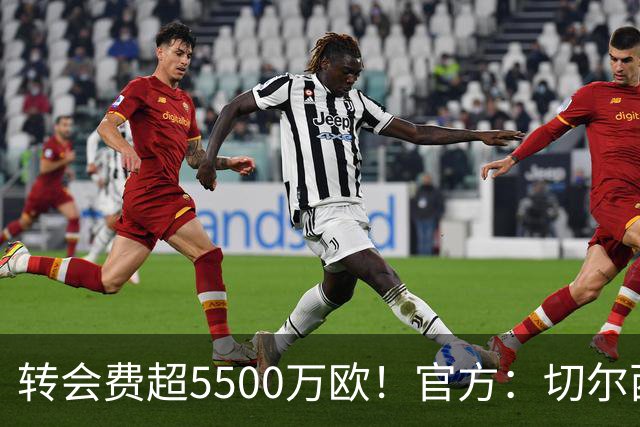 转会费超5500万欧！官方：切尔西签下21岁帕莱斯特拉，签约7年