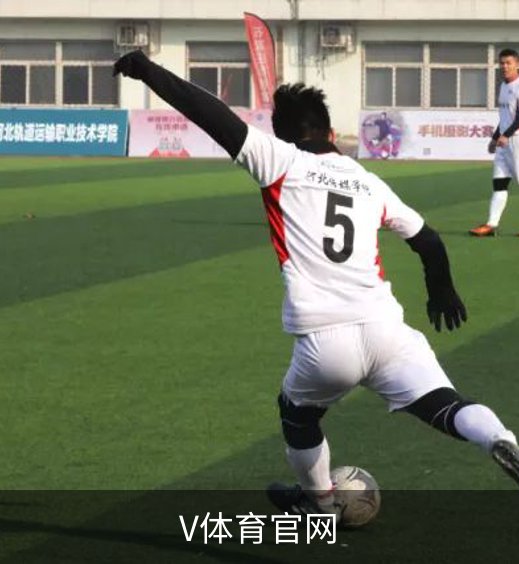 关于V体育官网